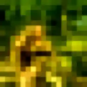 Sexy Zara, 26 ans à Gauciel - voir sa photo