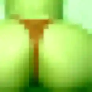 Contacte Lise, 34 ans à Gavray-sur-Sienne gratuitement