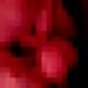 Photo privée de Anissa, 29 ans à Gavrus - plan discret