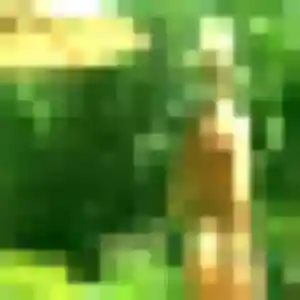 Profil de Capucine à Gellainville (31 ans) - plan cul anonyme