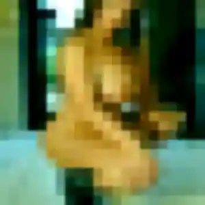 Photo de Malika à Gellainville (36 ans) - plan cul gratuit