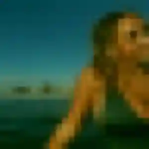 Jolie Nour, 38 ans à Genlis - voir sa photo