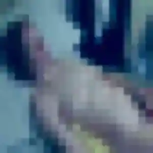 Syrine, 23 ans, cherche un plan cul à Genouilleux