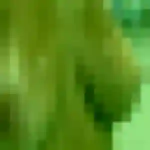 Apolline, 25 ans, en ligne à Genouilly pour une rencontre coquine