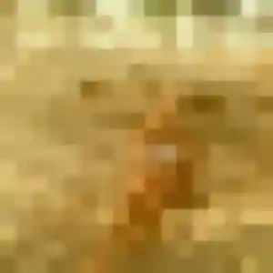 Contacte Honorine, 23 ans à Gentilly gratuitement