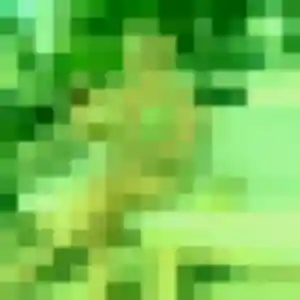 Elya, femme de 24 ans veut plan cul à Germigny-des-Prés