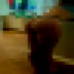 Flore, 38 ans, connectée à Glaire pour un plan cul
