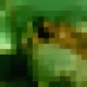 Profil de Louna à Goincourt (34 ans) - plan cul gratuit