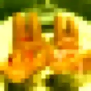 Manel, 37 ans, dispo pour plan cul à Gommecourt