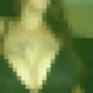 Mahaut (29 ans) à Goupil-Othon cherche un plan cul aujourd'hui