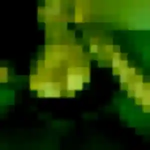 Sienna, 24 ans, veut un plan cul à Goussonville