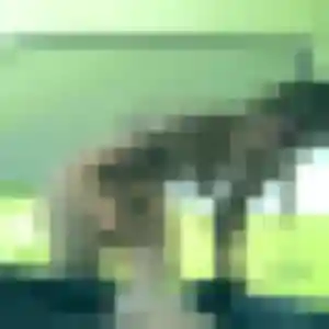 Lyana (31 ans) à Gouy attend une rencontre maintenant