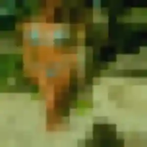 Charmante Kenza, 31 ans à Grandfresnoy - découvrir son profil