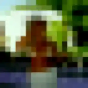 Mailys, fille de 33 ans propose plan cul à Grandfresnoy