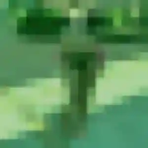 Belle Sienna, 27 ans à Gravigny - la contacter