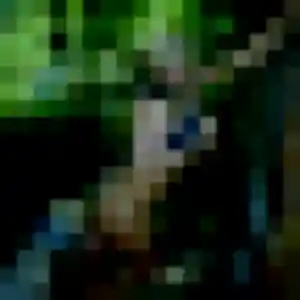 Anissa, femme de 39 ans veut plan cul à Grazay