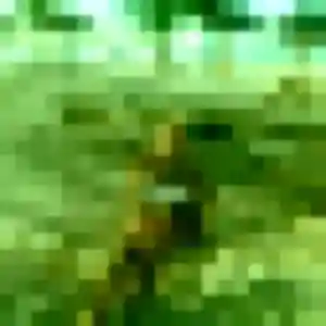 Alya (20 ans) à Groslay attend un plan cul maintenant