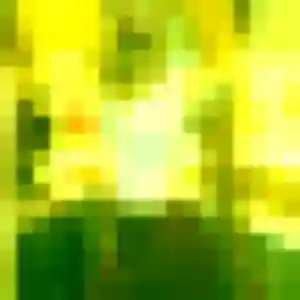 Amandine (37 ans) à Grossœuvre propose une rencontre aujourd'hui