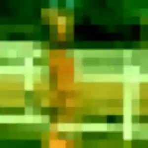 Zelie de Grugny, 20 ans - plan cul sans lendemain