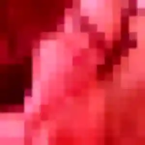 Lison de Guainville, 25 ans - plan cul en toute liberté