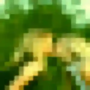 Photo de Rania à Guernes (19 ans) - plan cul sans inscription