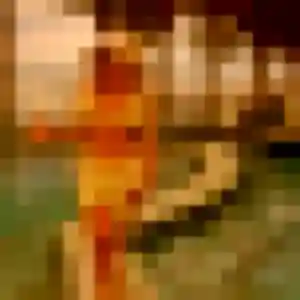 Ninon, fille de 34 ans veut plan cul à Guerville