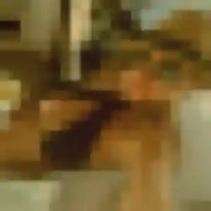Photo privée de Mona, 22 ans à Gurgy - plan discret