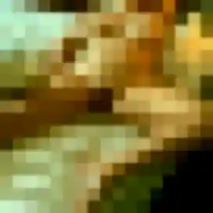 Garance, 25 ans, disponible à Haillicourt pour une rencontre coquine