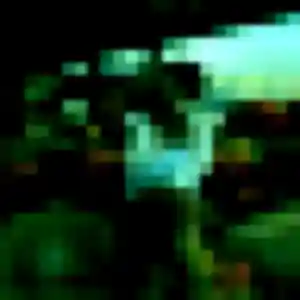 Talia, fille de 19 ans cherche plan cul à Ham-en-Artois