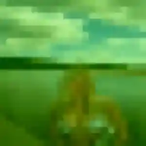 Louane, fille de 22 ans propose plan cul à Hambers