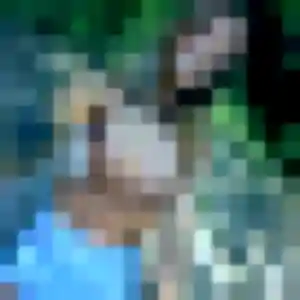 Rencontre Leila, 38 ans à Harcourt en privé