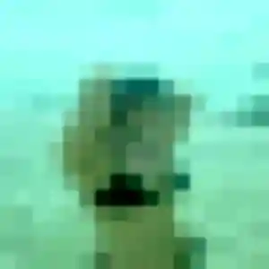 Charmante Violette, 39 ans à Harcourt - la contacter