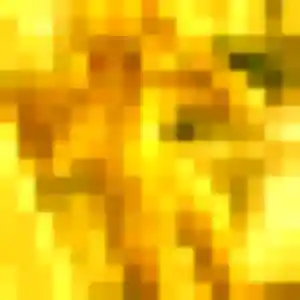 Jolie Lina, 30 ans à Harfleur - voir sa photo