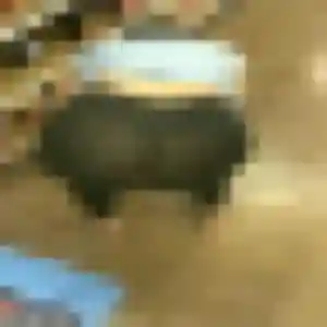 plan cul à Haspres : photo de Elia, 37 ans - sans engagement