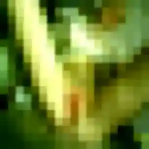 Photo exclusive de Felicite, 25 ans à Héloup - rencontre coquine