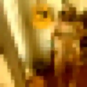 Photo de Constance à Hénouville (26 ans) - plan cul anonyme