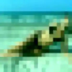 Profil de Heloise à Herbault (29 ans) - plan cul discret