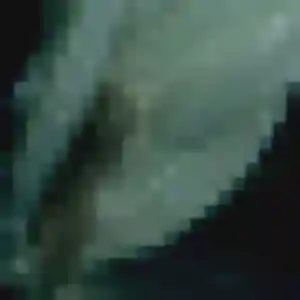 Jolie Prisca, 36 ans à Herchies - voir sa photo