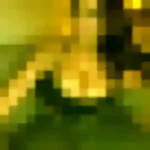 Lison, 32 ans, connectée à Hérin pour un plan cul