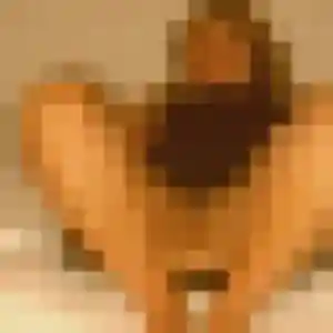 Profil de Mila à Hermival-les-Vaux (25 ans) - plan cul gratuit