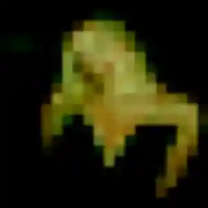 Photo de Violette à Honfleur (30 ans) - plan cul discret