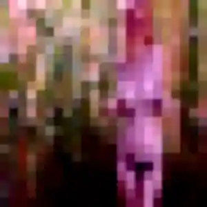 Leana, 33 ans, disponible à Honguemare-Guenouville pour un plan cul