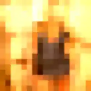 Photo de Safiya à Hornoy-le-Bourg (34 ans) - plan cul gratuit