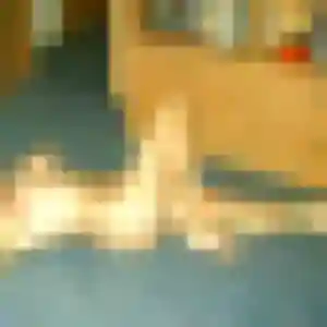 Photo perso de Emna, 35 ans à Huby-Saint-Leu - rencontre sans lendemain