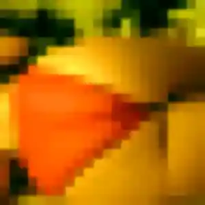 plan cul à Igoville : photo de Anissa, 23 ans - accès libre