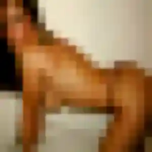 Photo de Lyana à Iguerande (38 ans) - plan cul gratuit