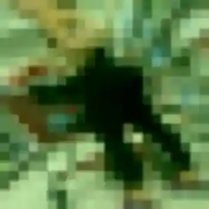 plan cul à Issy-les-Moulineaux : profil de Luna, 33 ans - accès libre