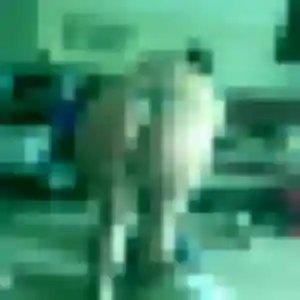 Photo privée de Inaya, 30 ans à Jallans - plan discret