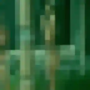 Photo de Hana à Javron-les-Chapelles (24 ans) - plan cul anonyme