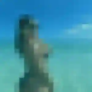 Contacte Lya, 36 ans à Javron-les-Chapelles gratuitement